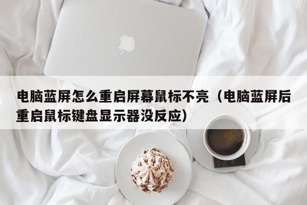 电脑蓝屏怎么重启屏幕鼠标不亮（电脑蓝屏后重启鼠标键盘显示器没反应）