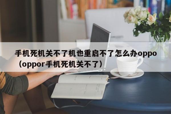 手机死机关不了机也重启不了怎么办oppo（oppor手机死机关不了）